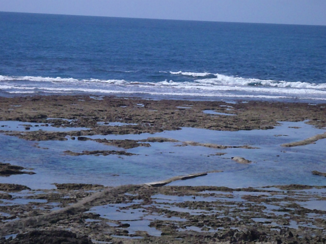 腰～胸サイズ！ファンウェーブ♪