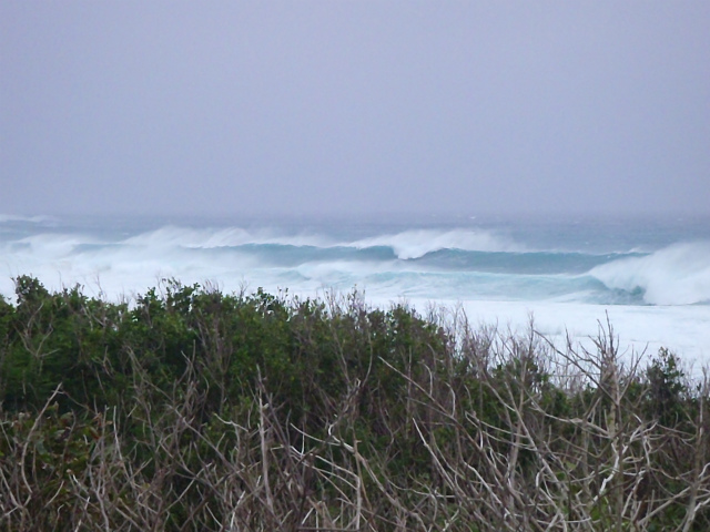 ダブル～トリプルオーバー！