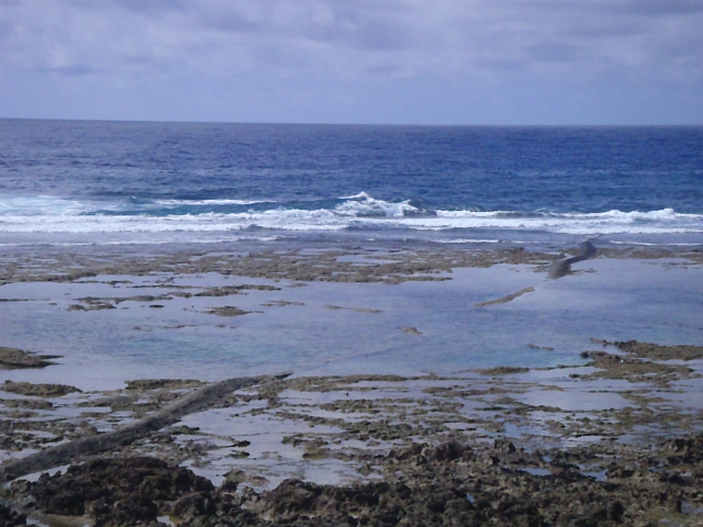 胸～肩サイズ♪