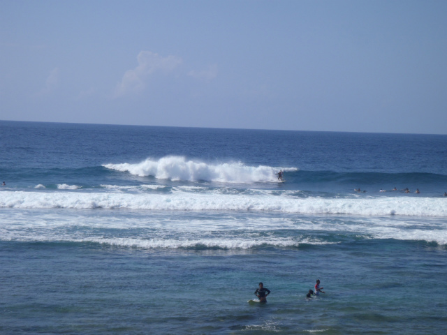 面ツル♪　頭～頭半サイズ！