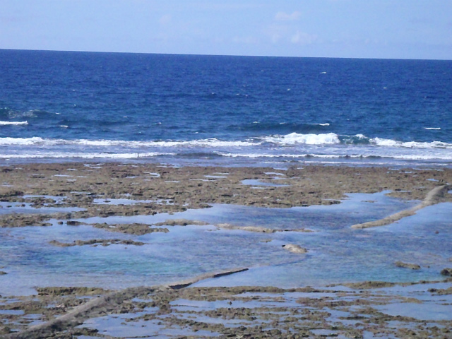 南東～南うねりの腰～胸サイズ。