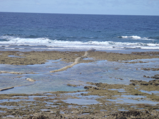 オンショア　腰～胸サイズです。