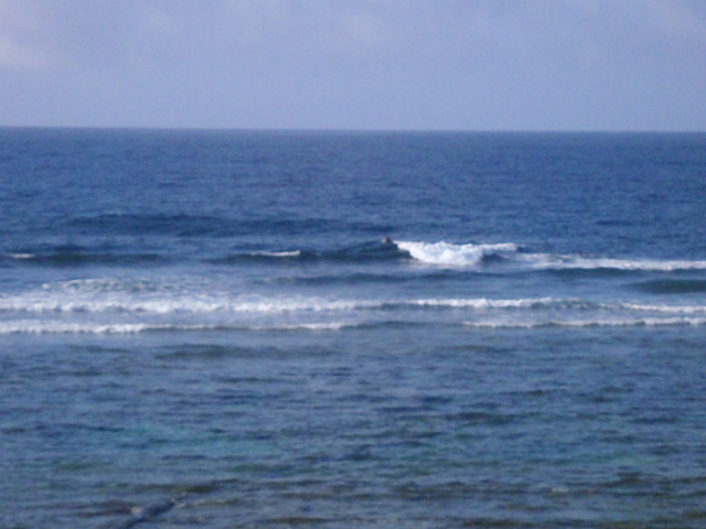 南東うねりの腰サイズ！