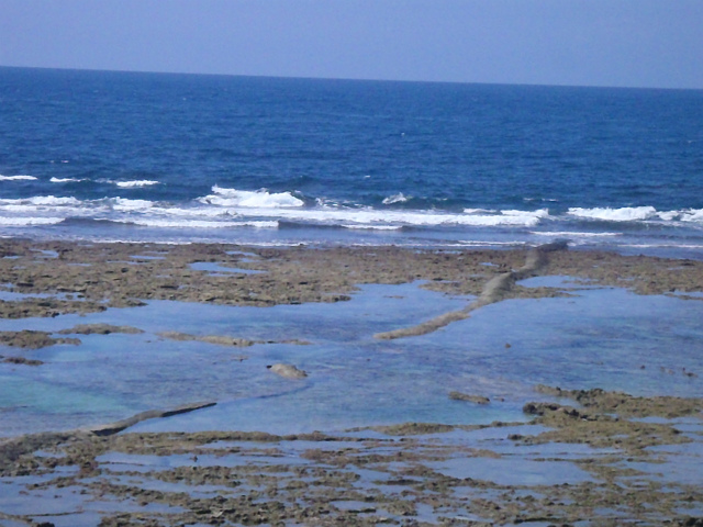 腰～胸サイズ。 1