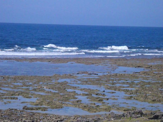 腰～胸サイズ。 2