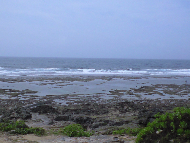 ハードコンディション