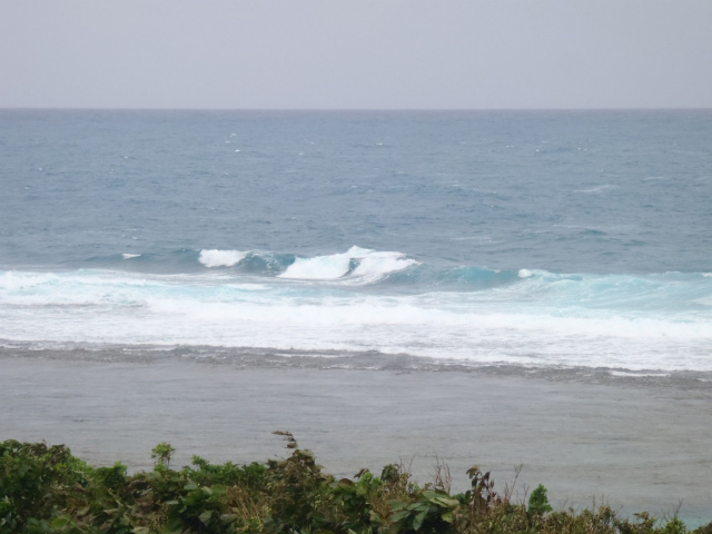 今日もクローズです。
