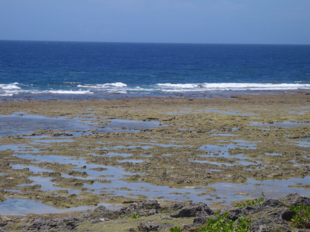 オンショア　膝～腰サイズ。 2