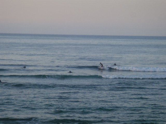 膝～腰サイズのファンウェーブ☆
