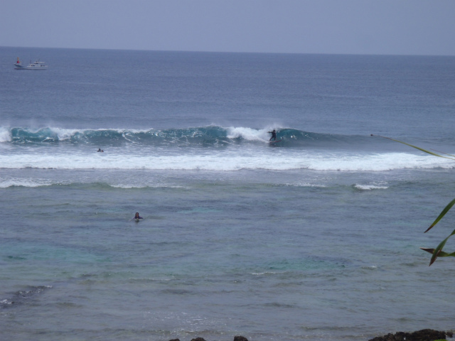 胸～頭サイズ！