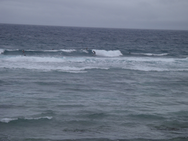 オンショア！胸～肩サイズ。