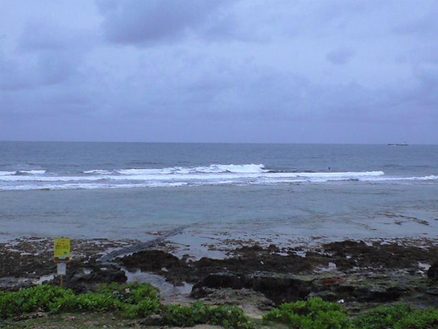 腰～胸サイズ。ファンサーフデイ♪