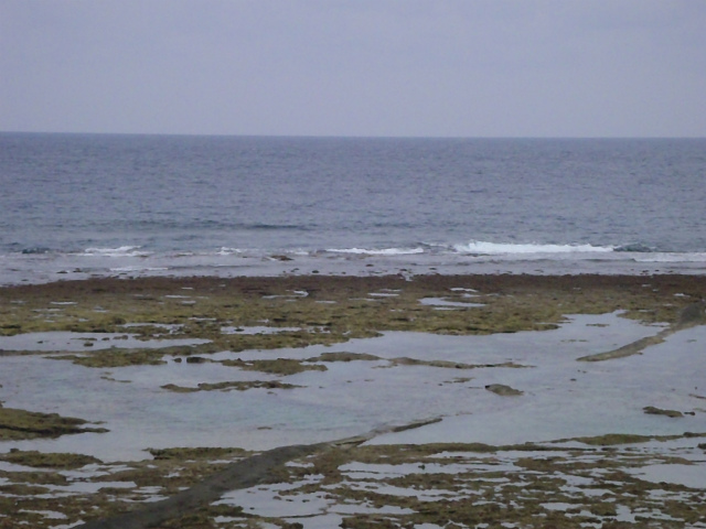 オンショア！膝サイズ。