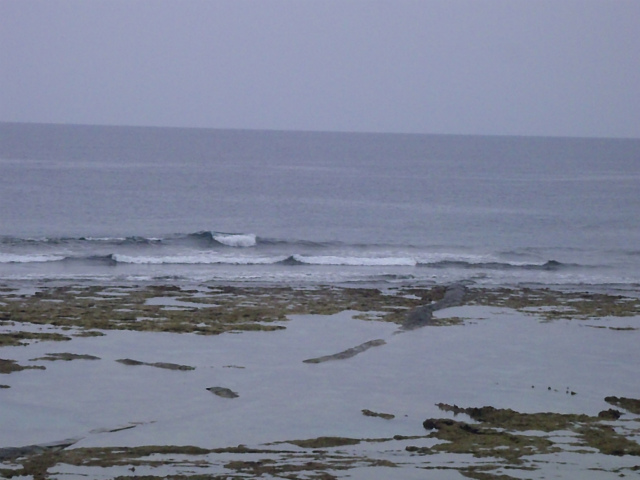 膝～腰サイズ！