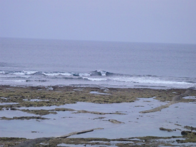 面ツル！腰～胸サイズ。サイズダウンしています！