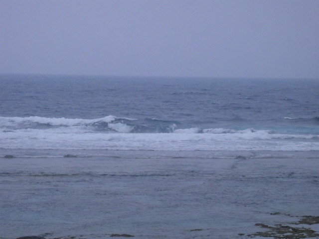 頭～頭オーバーサイズのハードコンディション！