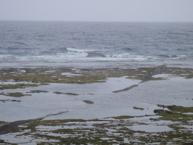 ジャンクコンディションの腰～胸サイズ