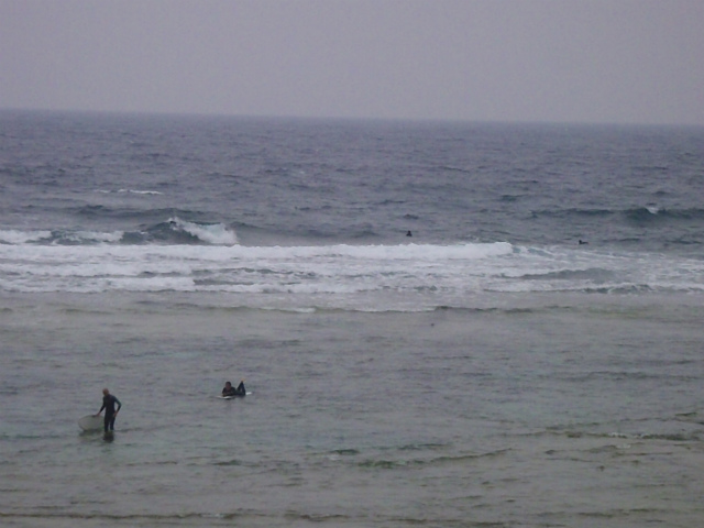 腰～胸サイズのハードコンディション！