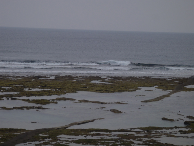 面ツル♪　膝～腰サイズ