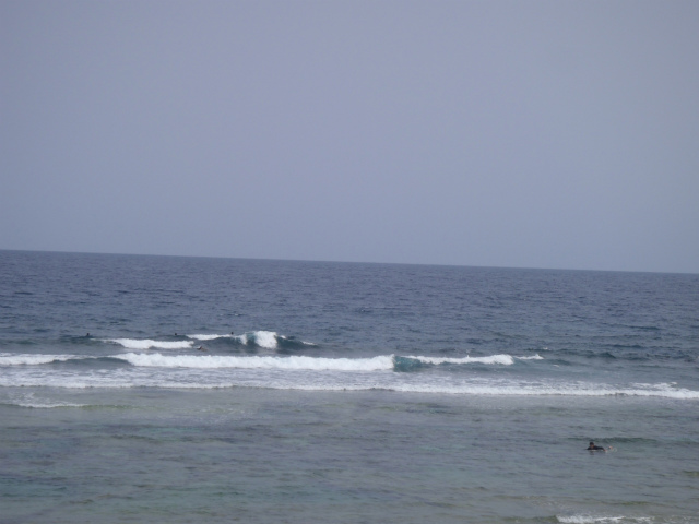 腰～胸サイズですが・・・