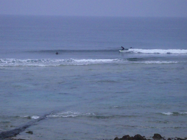 膝～腰サイズ　うねりの向きが変わりました♪