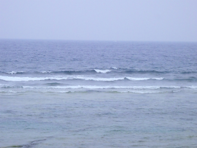 南西うねりの膝～腰サイズ