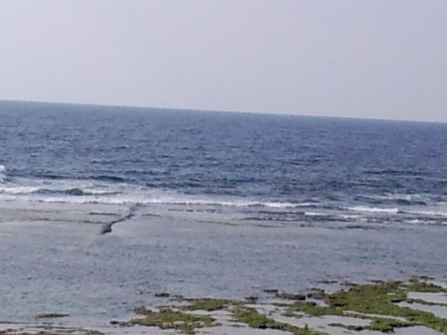 東うねりの腰～胸サイズ