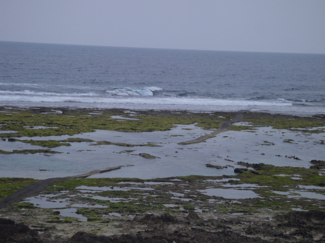 サイズアップ！腰～胸サイズです。