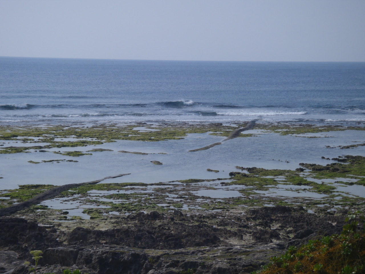 面ツル♪　腰サイズ