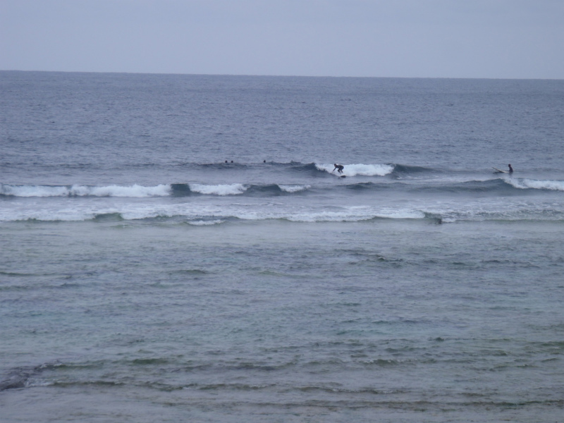 11:00チェック　東うねりの膝から腰サイズ