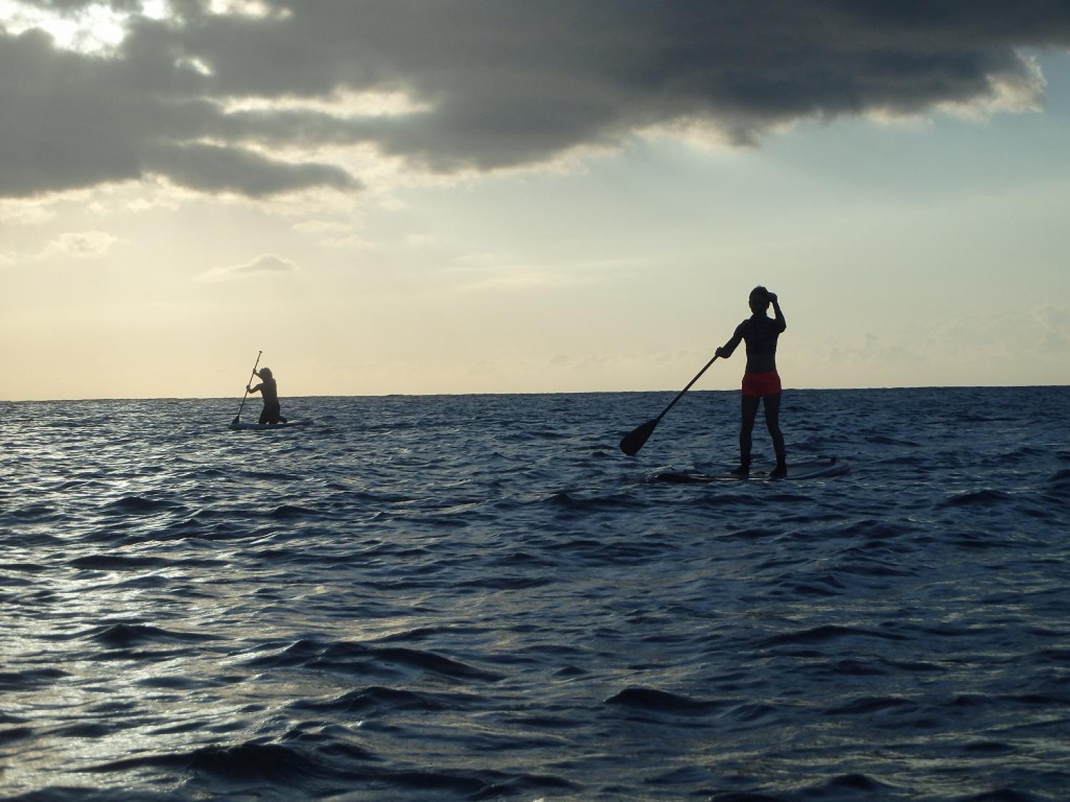 Nov.24 stand-up fast step cruising 3