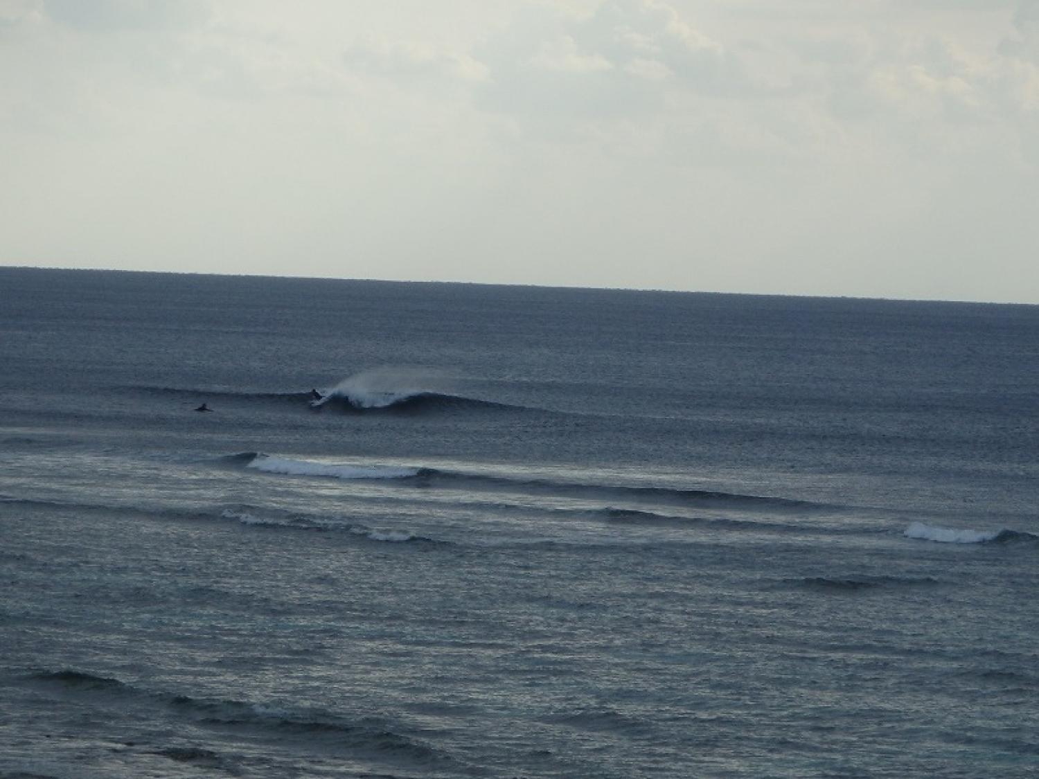Glassy Knee size Dec. 17 Suicide Point wave information