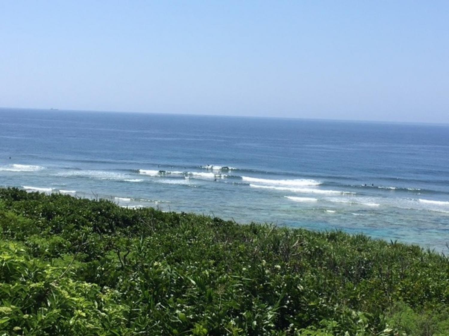 膝サイズ 5月27日（金）スーサイド波情報