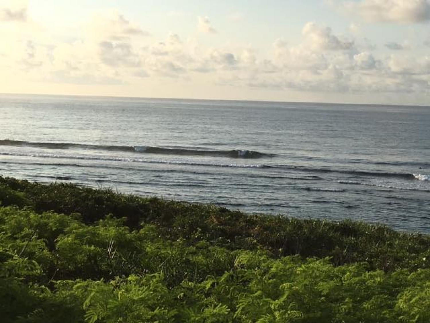 Aug.15 Suicide Point wave Forecast