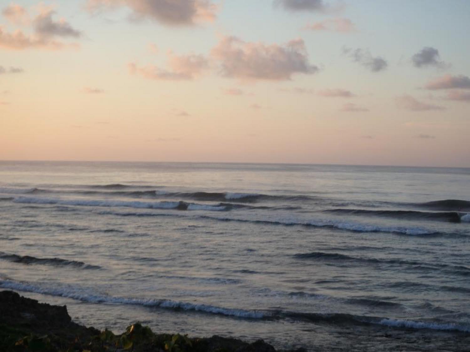 Aug.16 Suicide Point wave Forecast