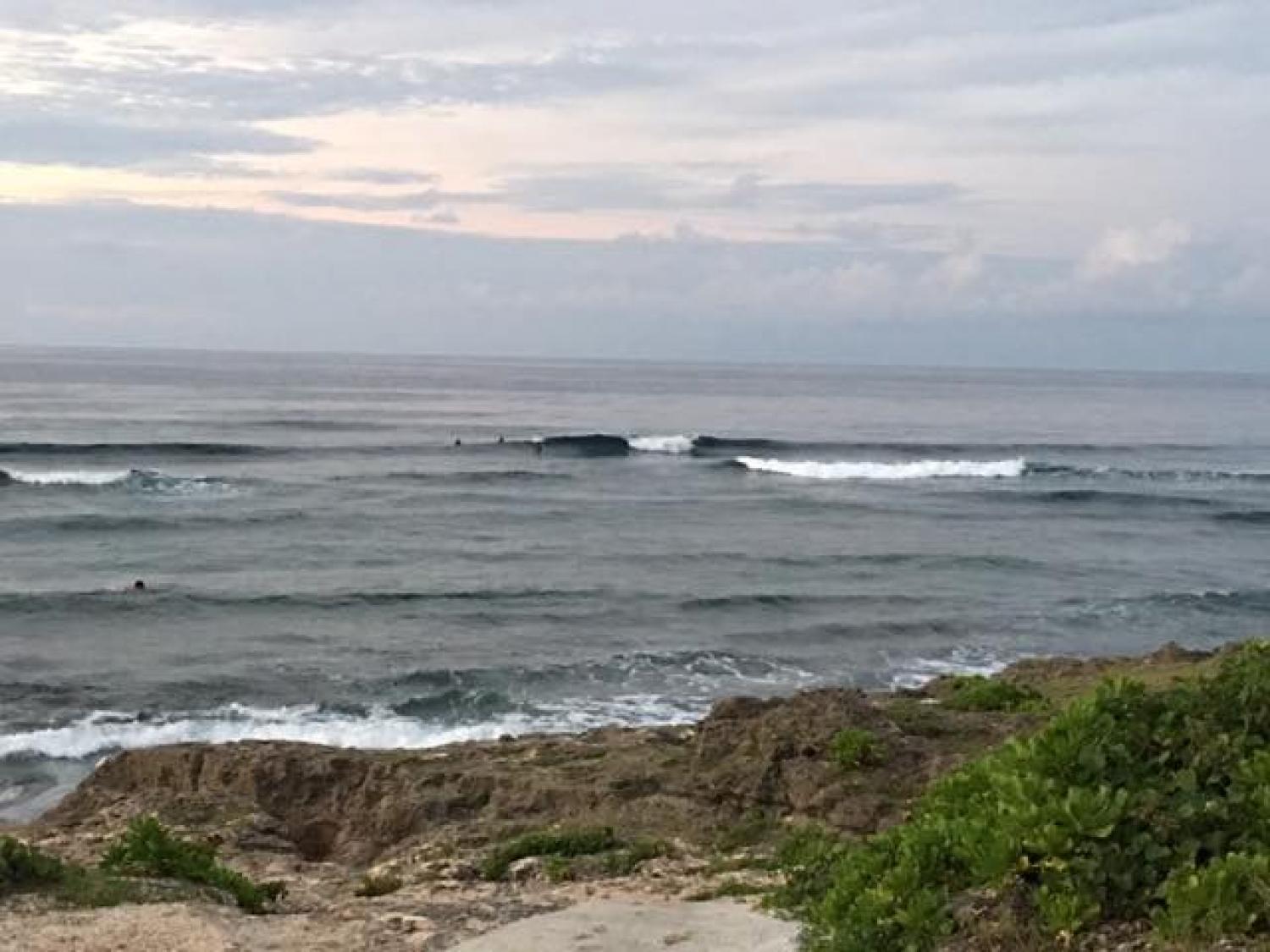 Aug.18 Suicide Point wave Information