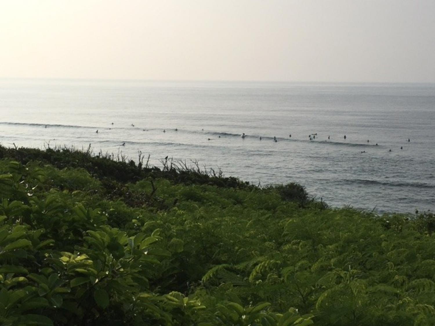 Aug.20 Suicide Point wave Information