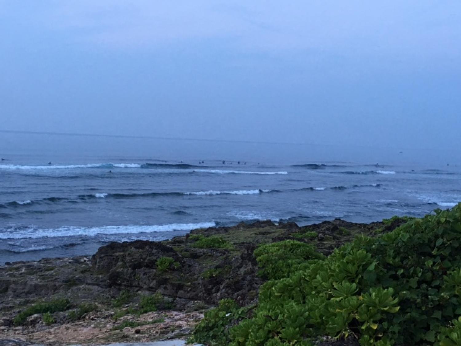 Aug.21 Suicide Point wave Information