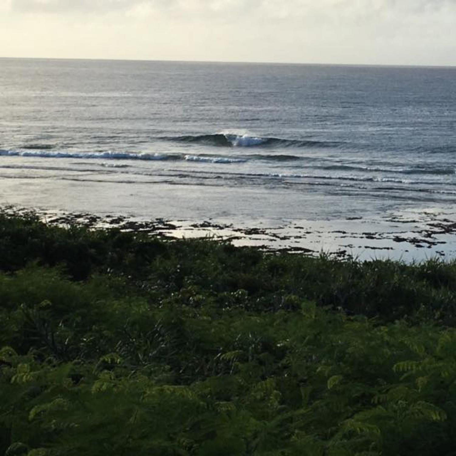 Aug.25 Suicide Point wave informatiion
