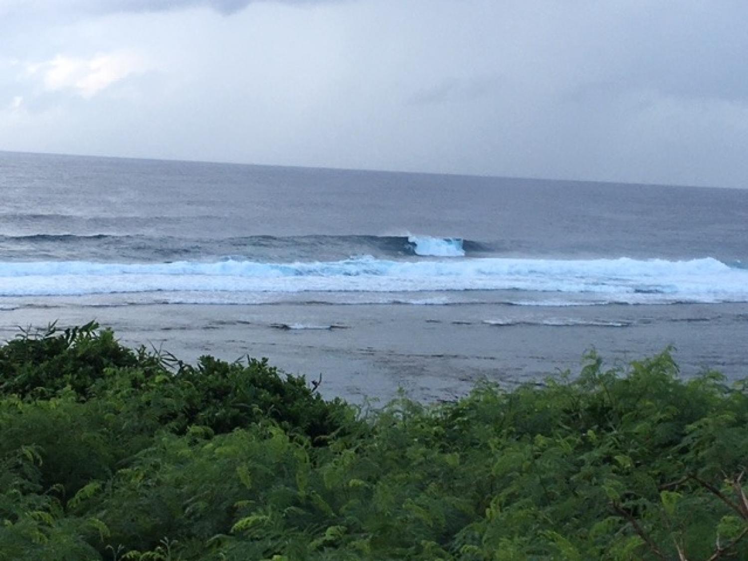 Aug.26 Suicide Point wave information