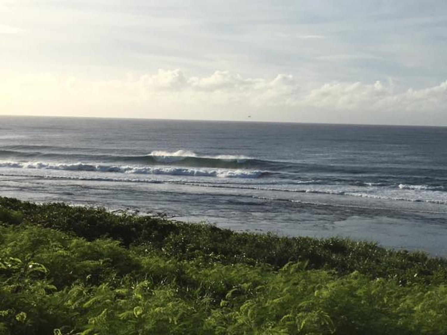 Aug.27 Suicide Point wave information