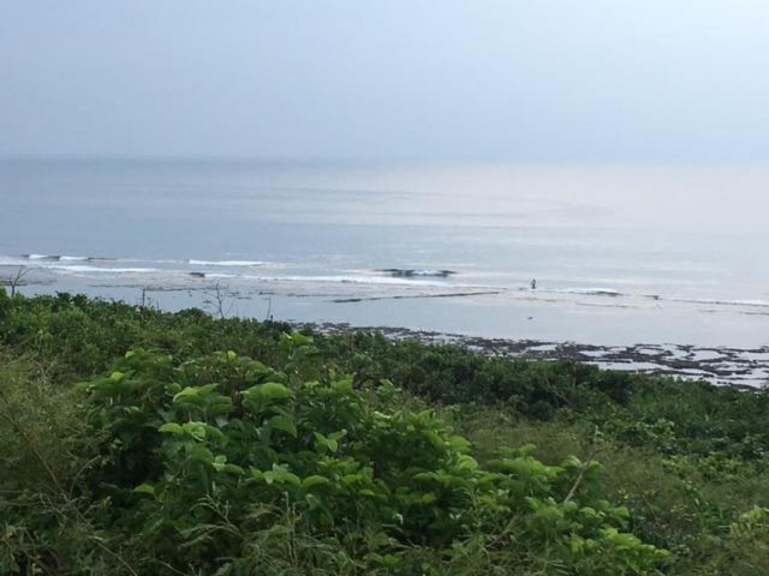 Sep.11 Suicide Point wave Information