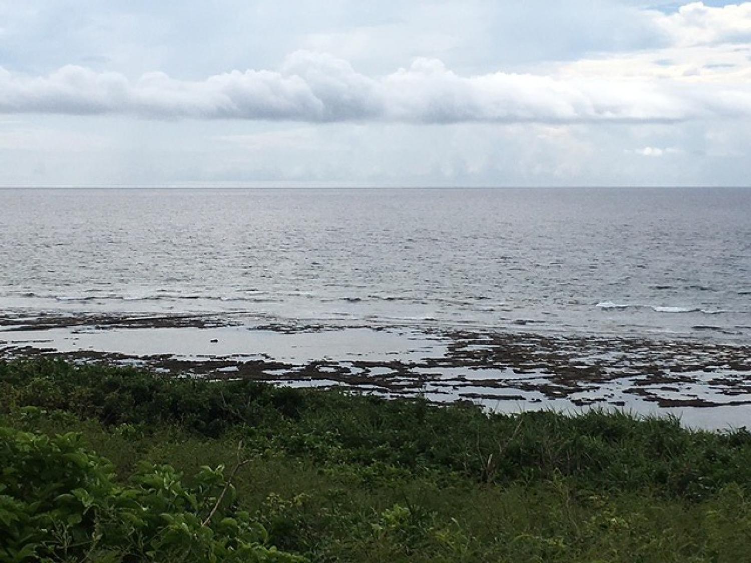 Sep.12 Suicide Point wave Information