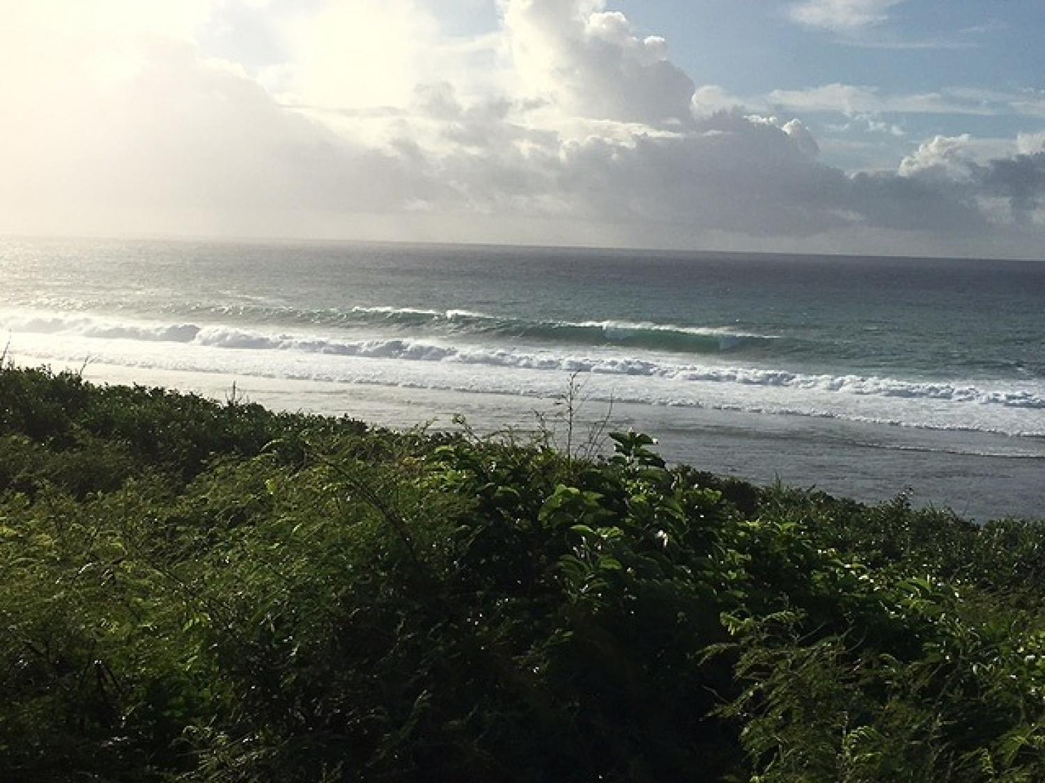 Sep.13 Suicide Point wave Information
