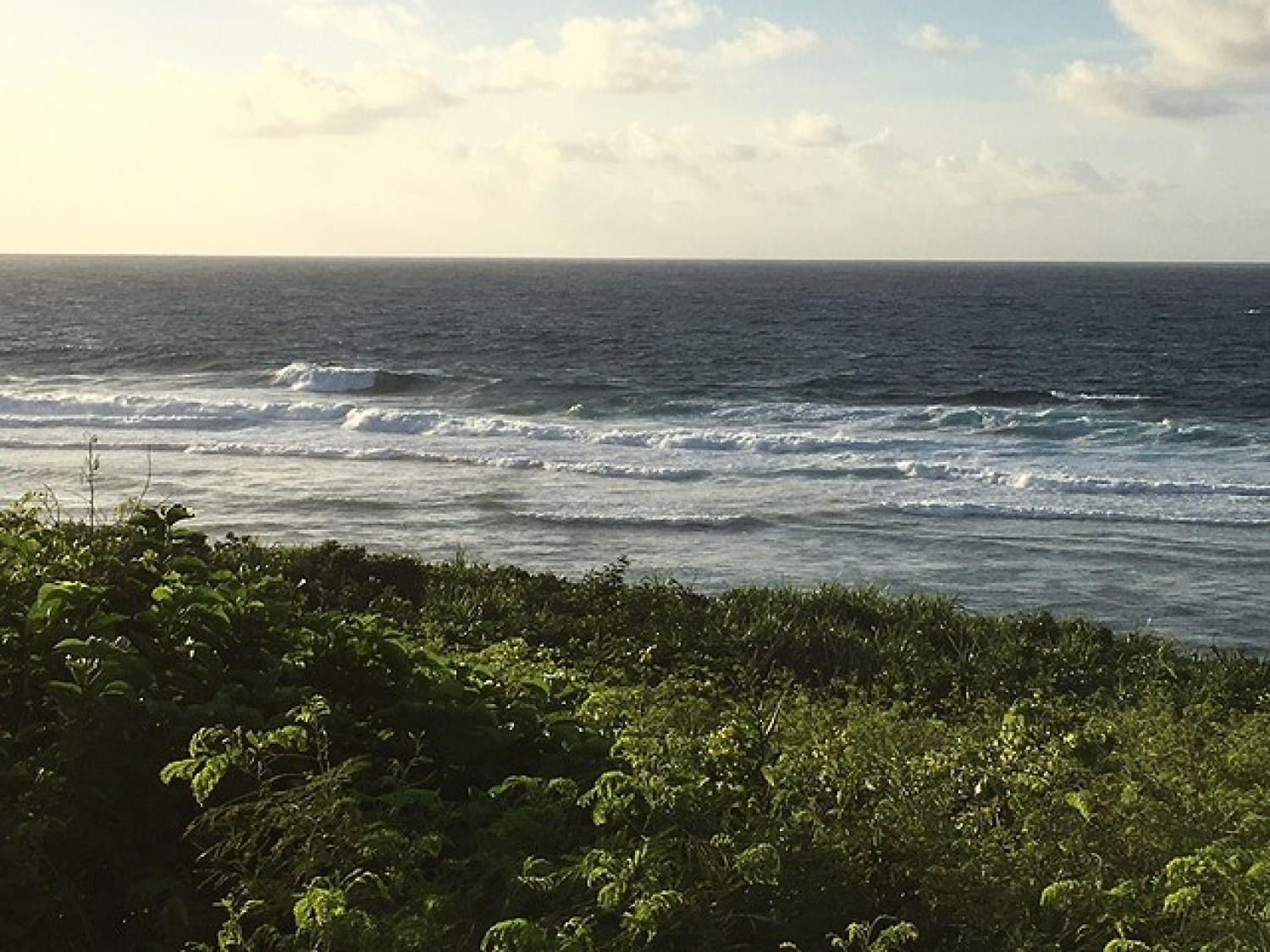 Sep.15 Suicide Point wave Information