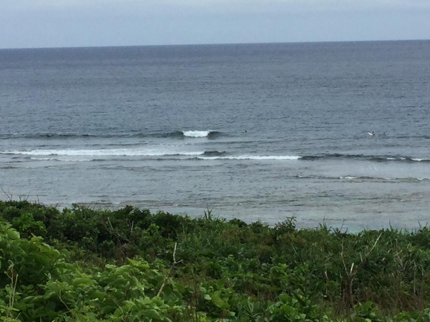 Sep.22 Suicide Point wave Information