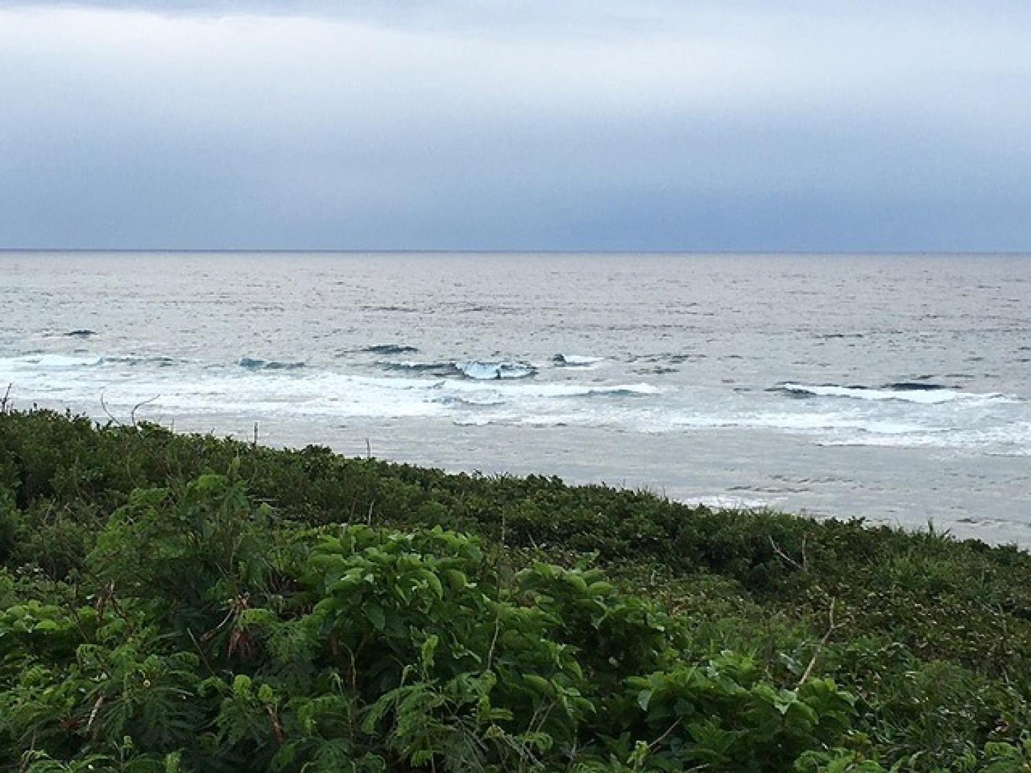 12月13日（火）スーサイド波情報 2