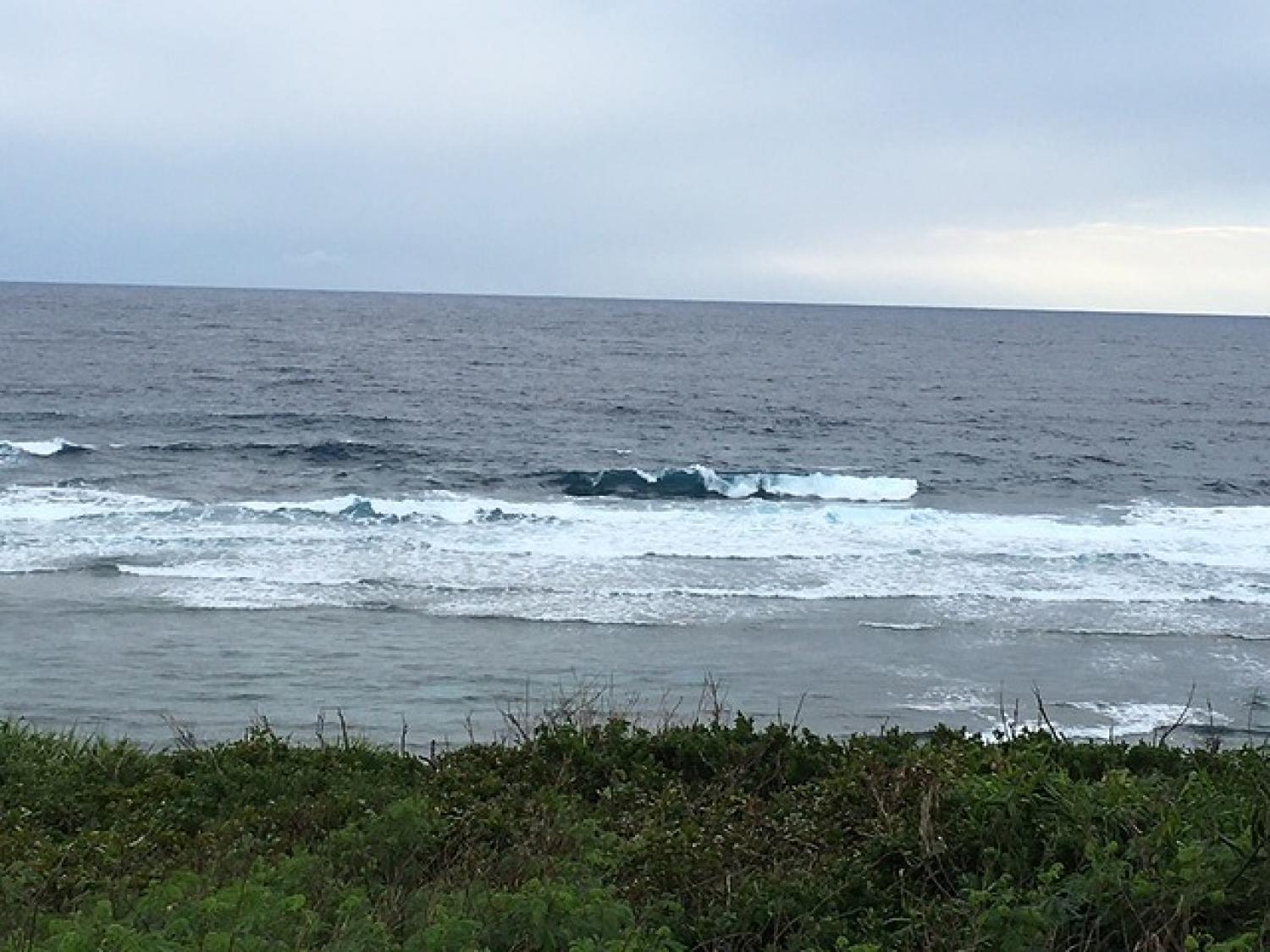 12月13日（火）スーサイド波情報 3