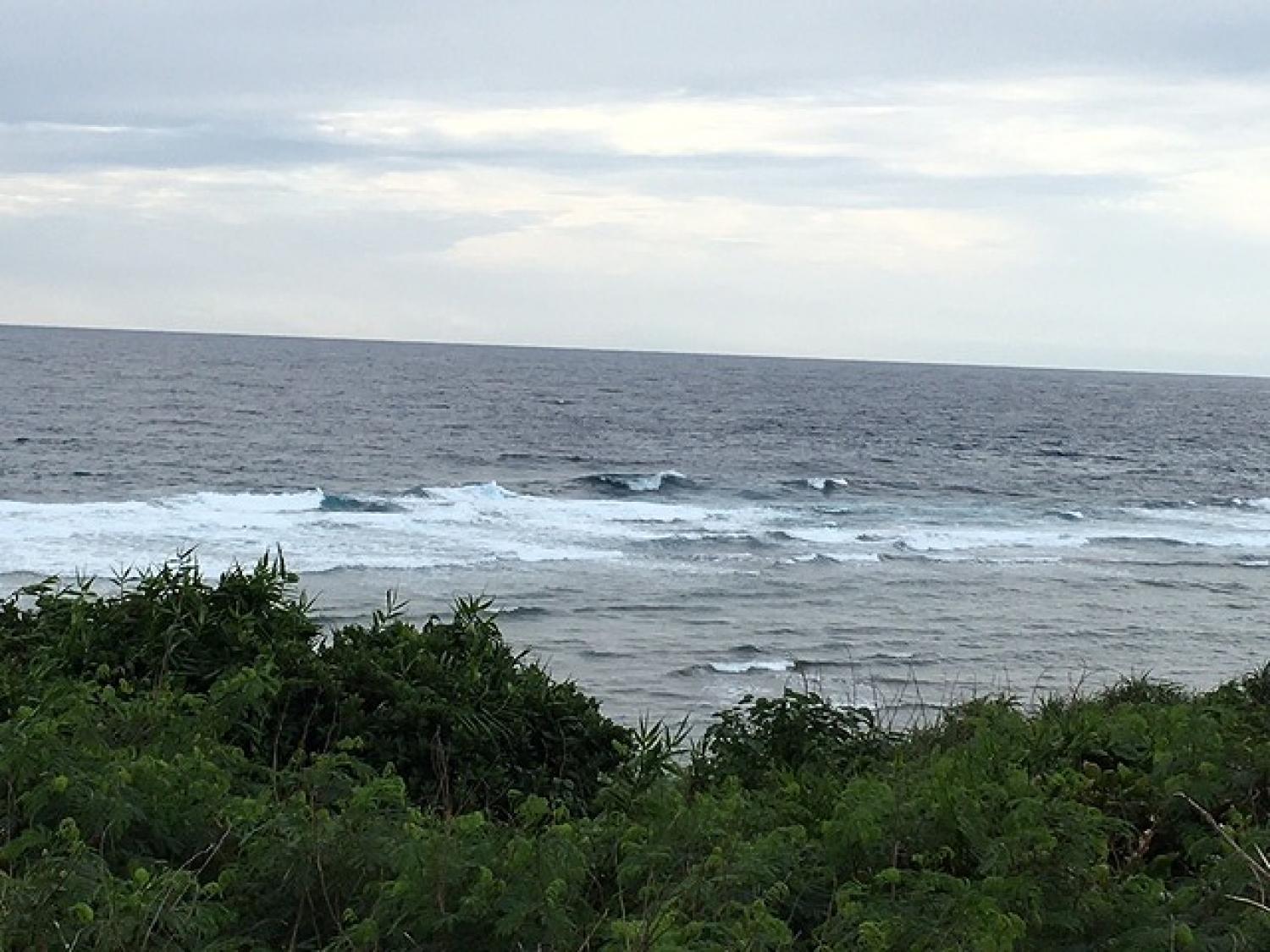 12月13日（火）スーサイド波情報 4