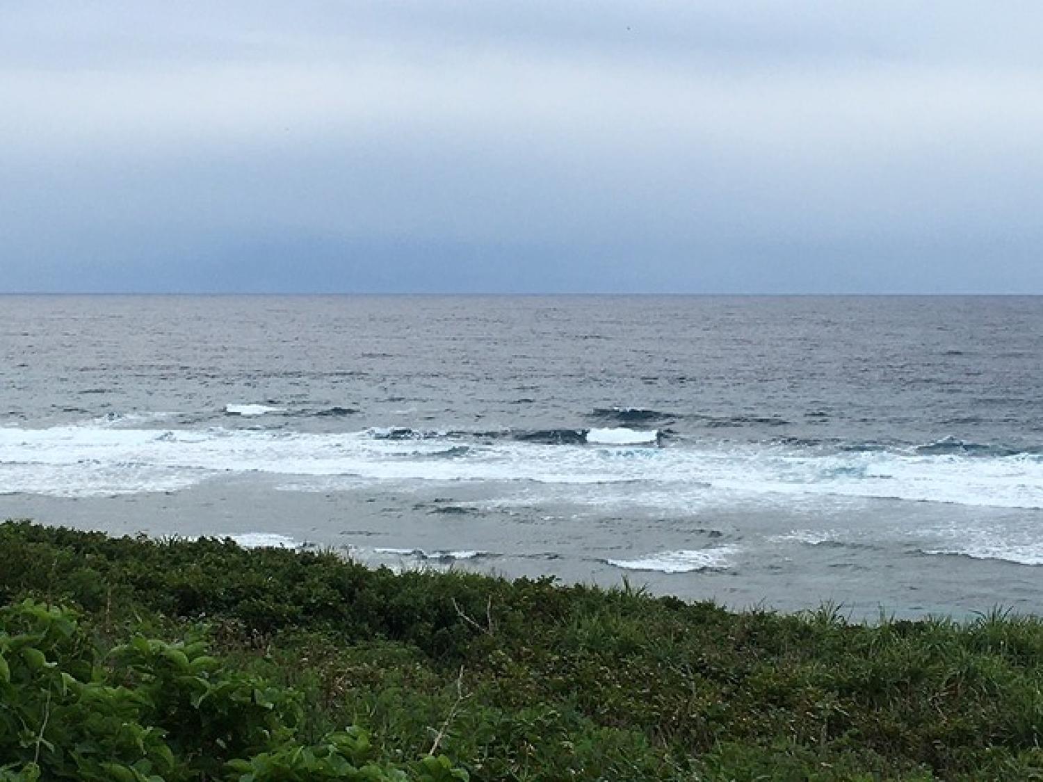 12月13日（火）スーサイド波情報 5